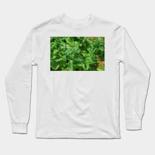 Curly Mint Long Sleeve T-Shirt